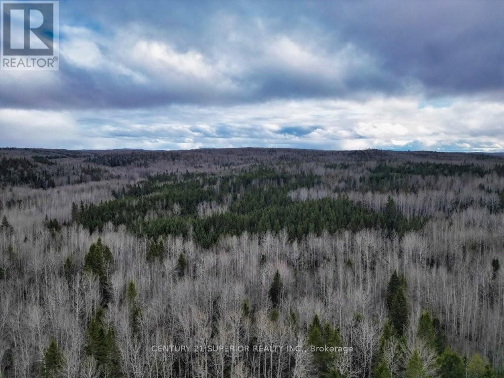 N 1/2 L 10 Centre Road, Thunder Bay Remote Area, Ontario  P0T 1X0 - Photo 3 - X13244858
