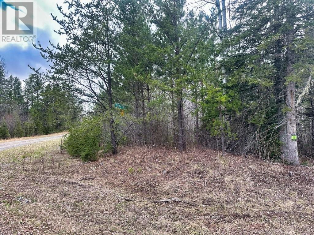 N 1/2 L 10 Centre Road, Thunder Bay Remote Area, Ontario  P0T 1X0 - Photo 24 - X13244858