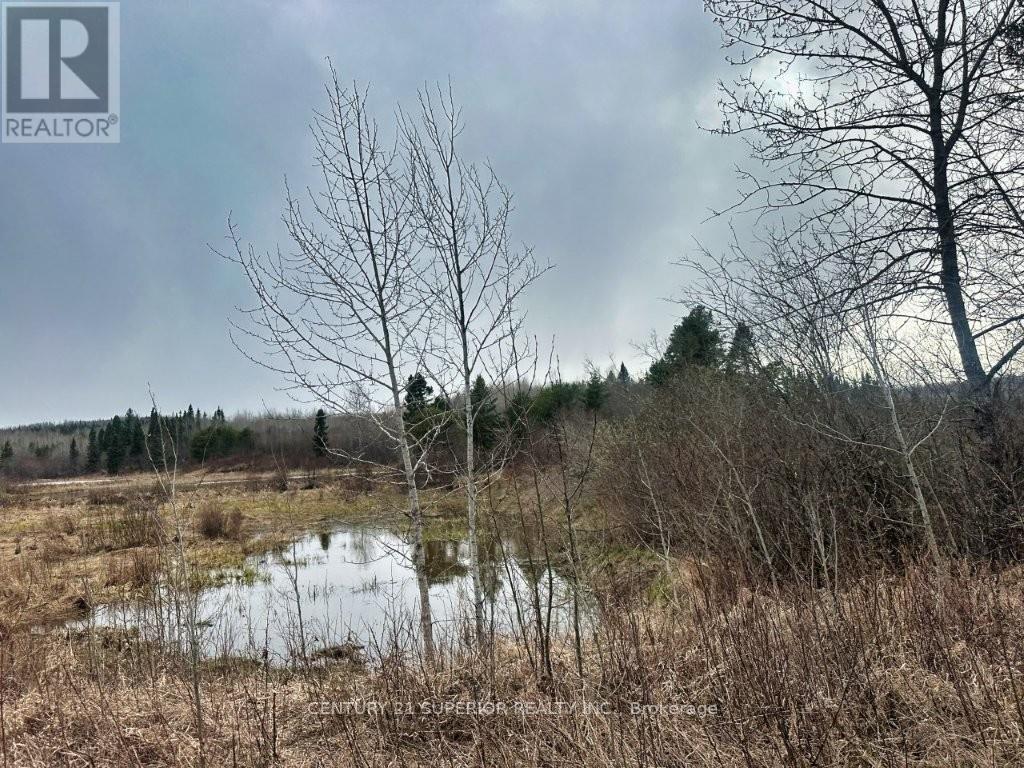 N 1/2 L 10 Centre Road, Thunder Bay Remote Area, Ontario  P0T 1X0 - Photo 26 - X13244858