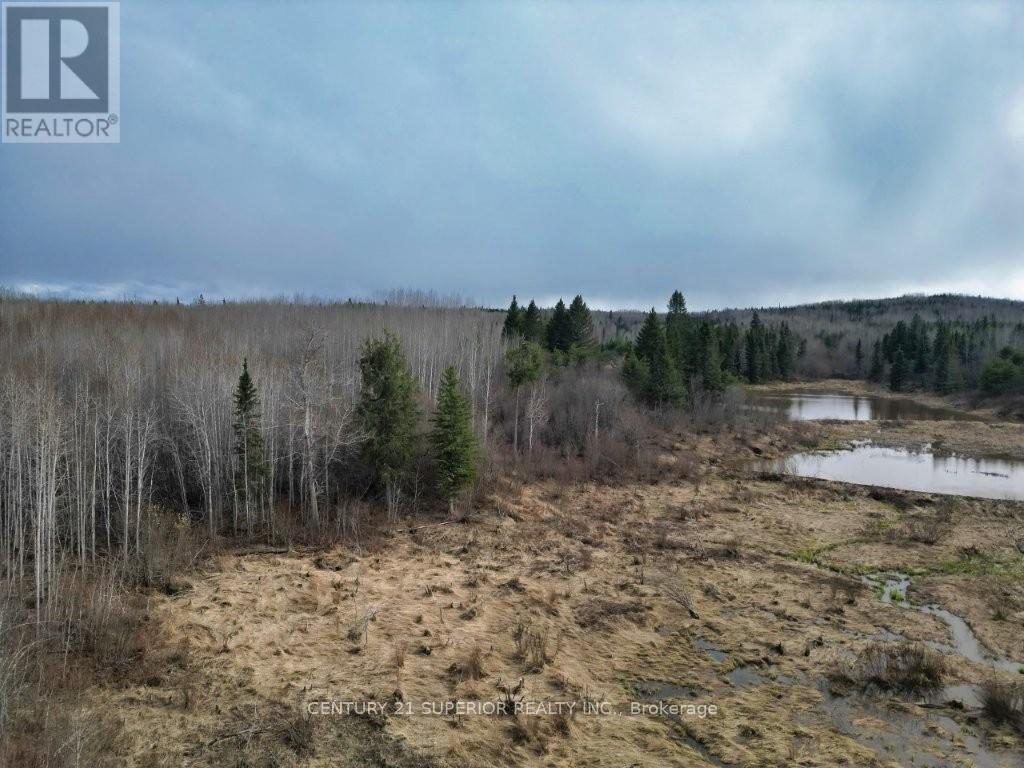 N 1/2 L 10 Centre Road, Thunder Bay Remote Area, Ontario  P0T 1X0 - Photo 18 - X13244858