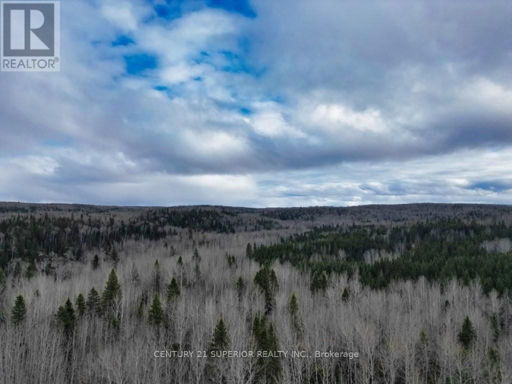 N 1/2 L 10 Centre Road, Thunder Bay Remote Area, Ontario  P0T 1X0 - Photo 2 - X13244858