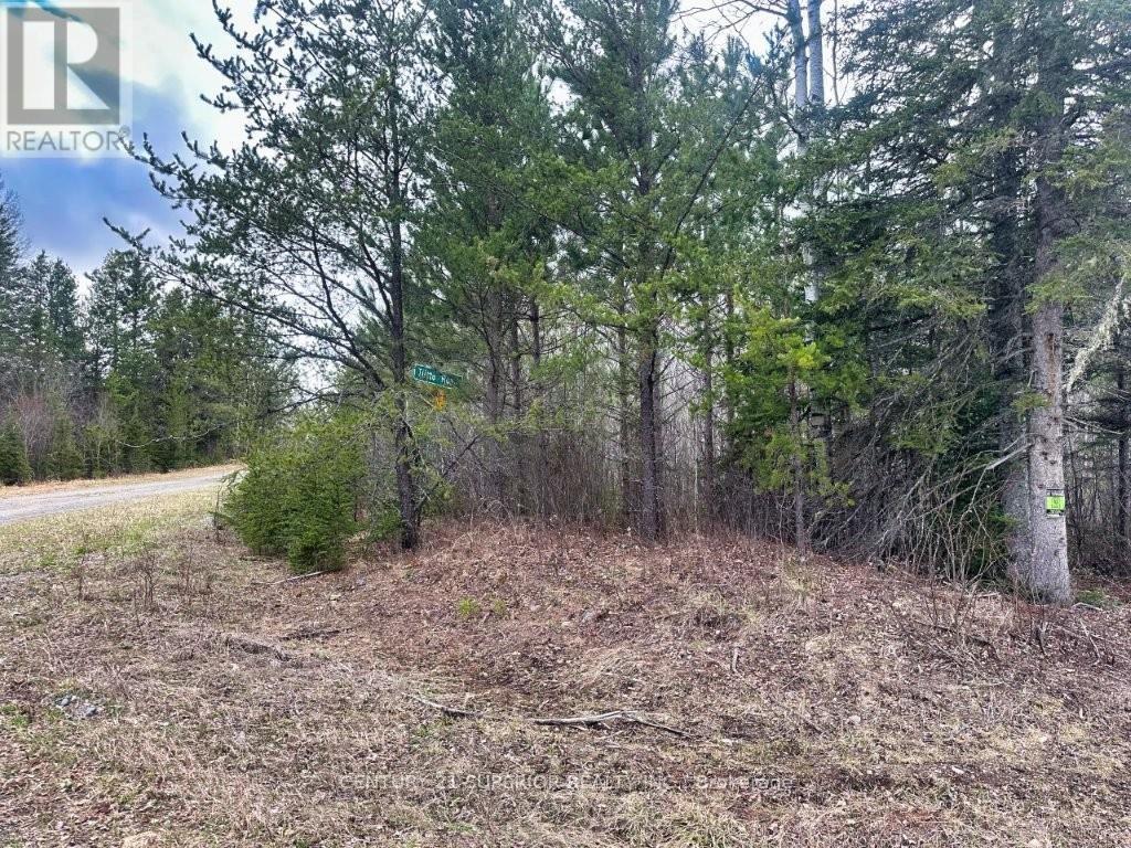 N 1/2 L 10 Centre Road, Thunder Bay Remote Area, Ontario  P0T 1X0 - Photo 23 - X13244858