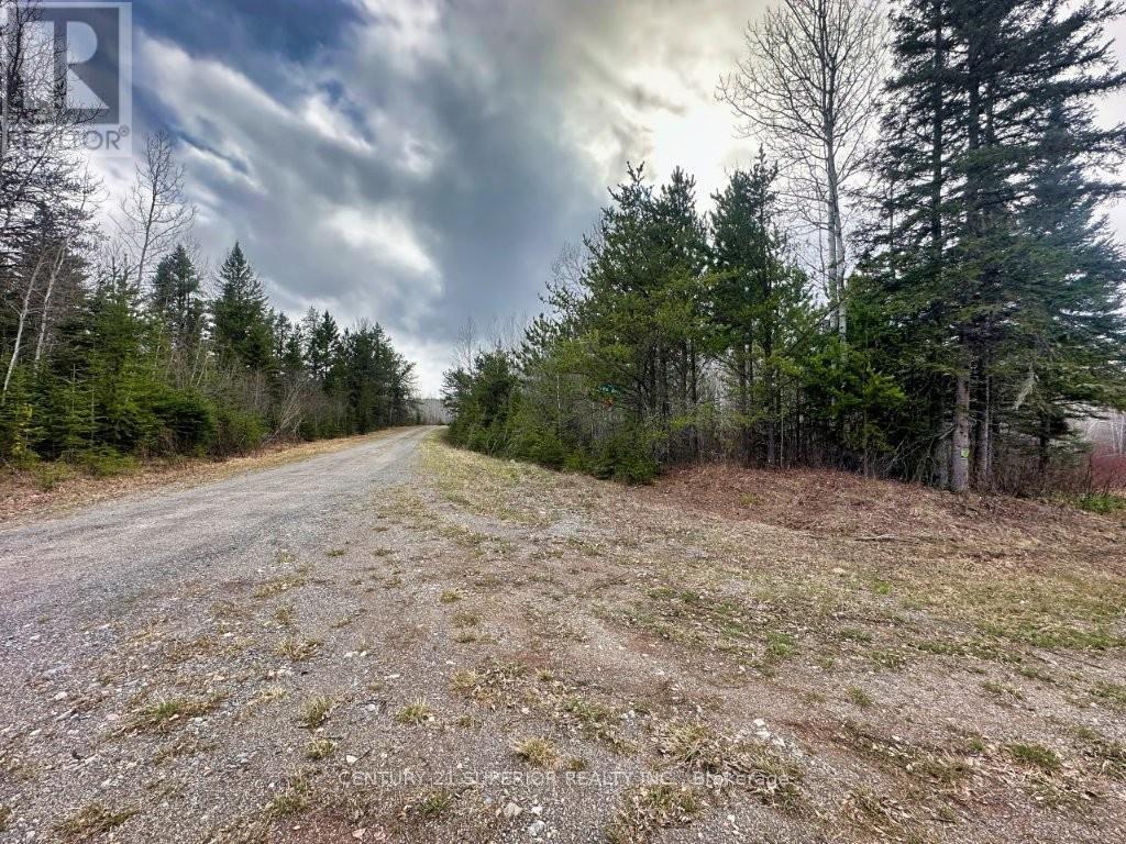 N 1/2 L 10 Centre Road, Thunder Bay Remote Area, Ontario  P0T 1X0 - Photo 21 - X13244858