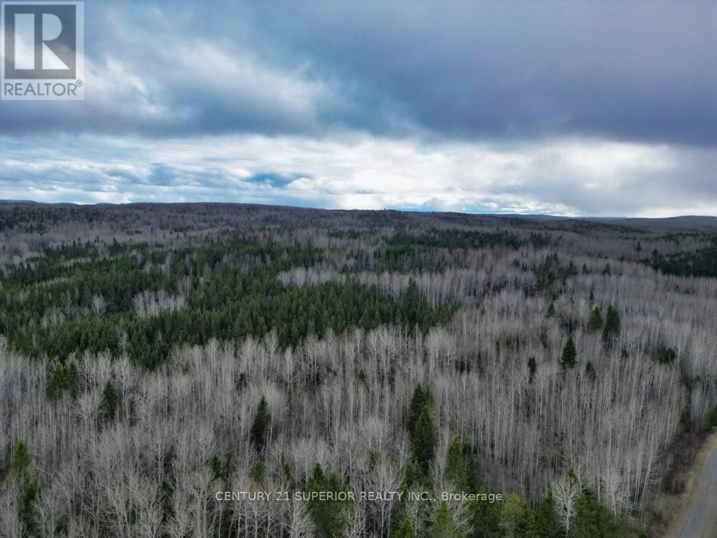 N 1/2 L 10 Centre Road, Thunder Bay Remote Area, Ontario  P0T 1X0 - Photo 6 - X13244858