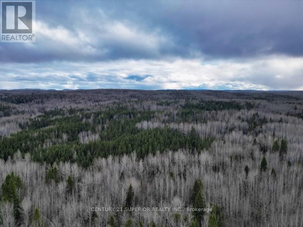 N 1/2 L 10 Centre Road, Thunder Bay Remote Area, Ontario  P0T 1X0 - Photo 8 - X13244858