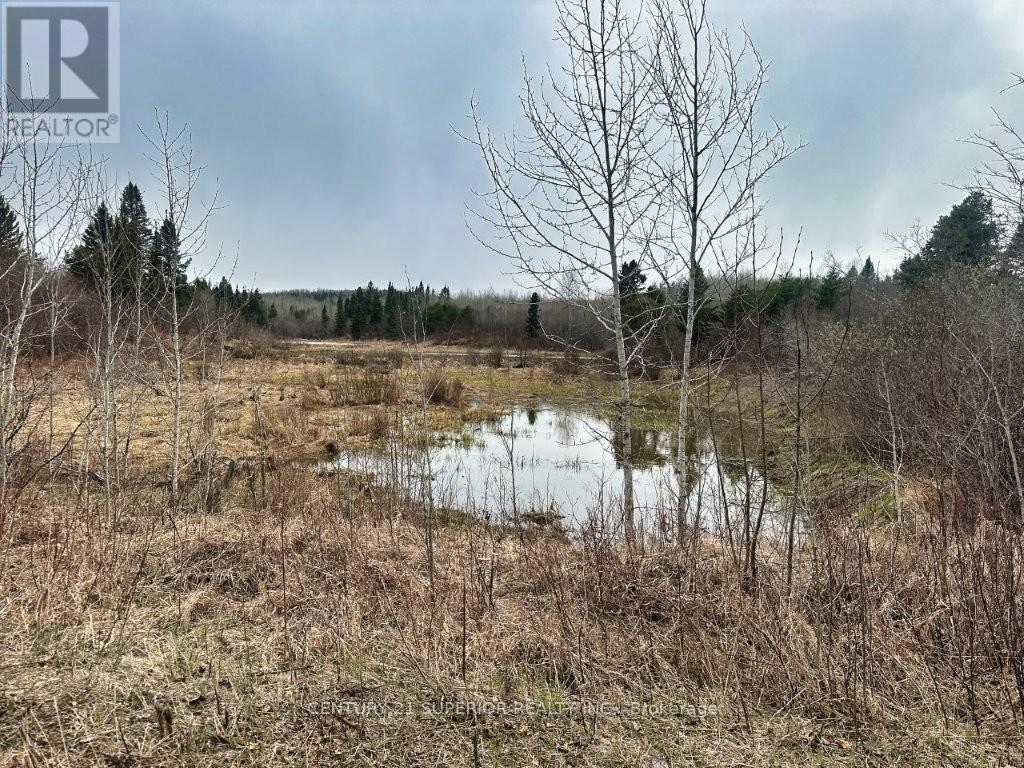 N 1/2 L 10 Centre Road, Thunder Bay Remote Area, Ontario  P0T 1X0 - Photo 25 - X13244858