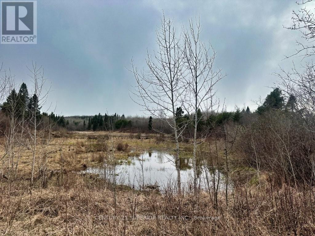 N 1/2 L 10 Centre Road, Thunder Bay Remote Area, Ontario  P0T 1X0 - Photo 27 - X13244858