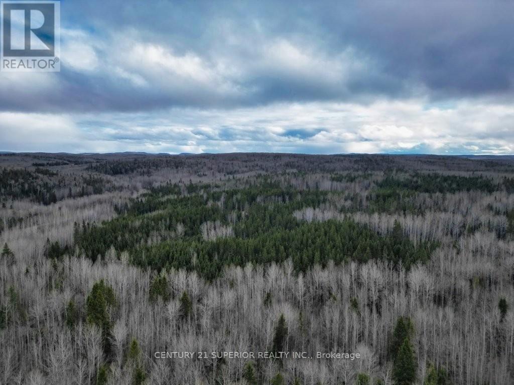 N 1/2 L 10 Centre Road, Thunder Bay Remote Area, Ontario  P0T 1X0 - Photo 4 - X13244858