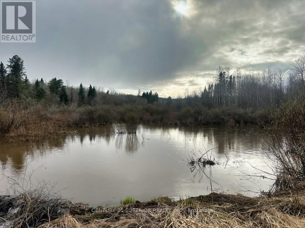 N 1/2 L 10 Centre Road, Thunder Bay Remote Area, Ontario  P0T 1X0 - Photo 29 - X13244858