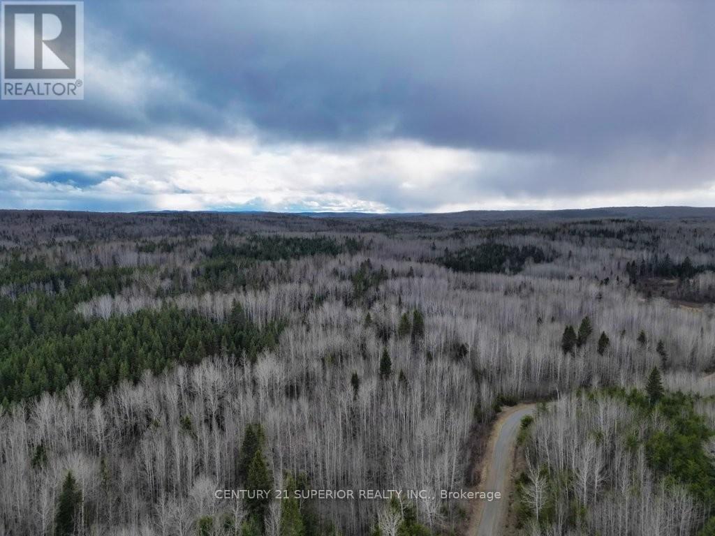 N 1/2 L 10 Centre Road, Thunder Bay Remote Area, Ontario  P0T 1X0 - Photo 9 - X13244858