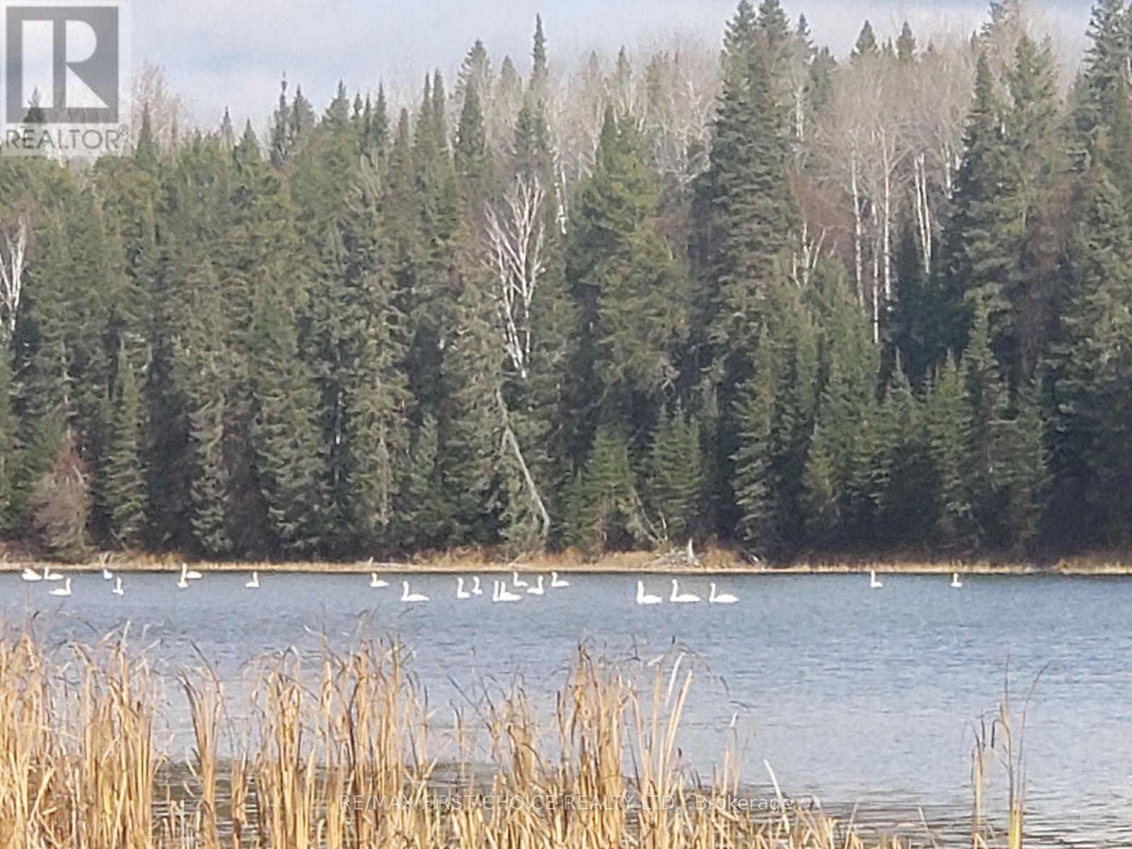 Parcels 30223 & 29840, Kenora Remote Area, Ontario  P0V 1P0 - Photo 10 - X13244914