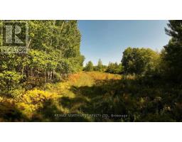 PCL 46-3 GOVERNMENT RD, Dawson, Ontario