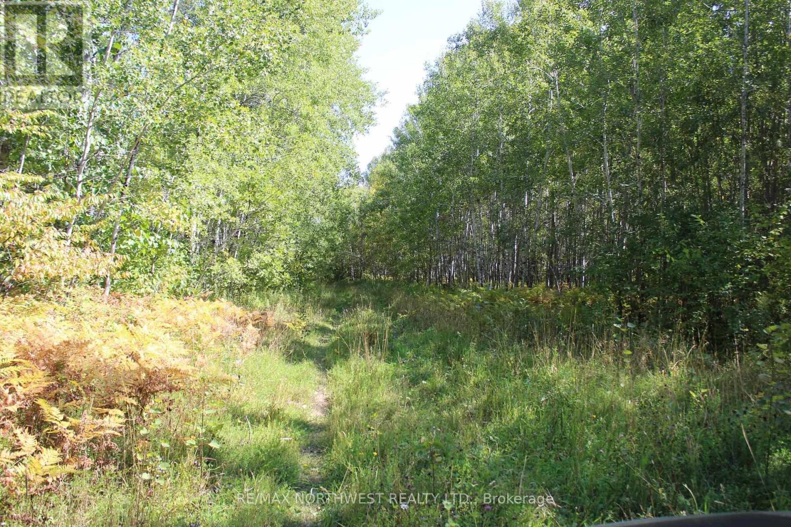 Pcl 46-3 Government Rd, Dawson, Ontario  P0W 1L0 - Photo 20 - X13245104