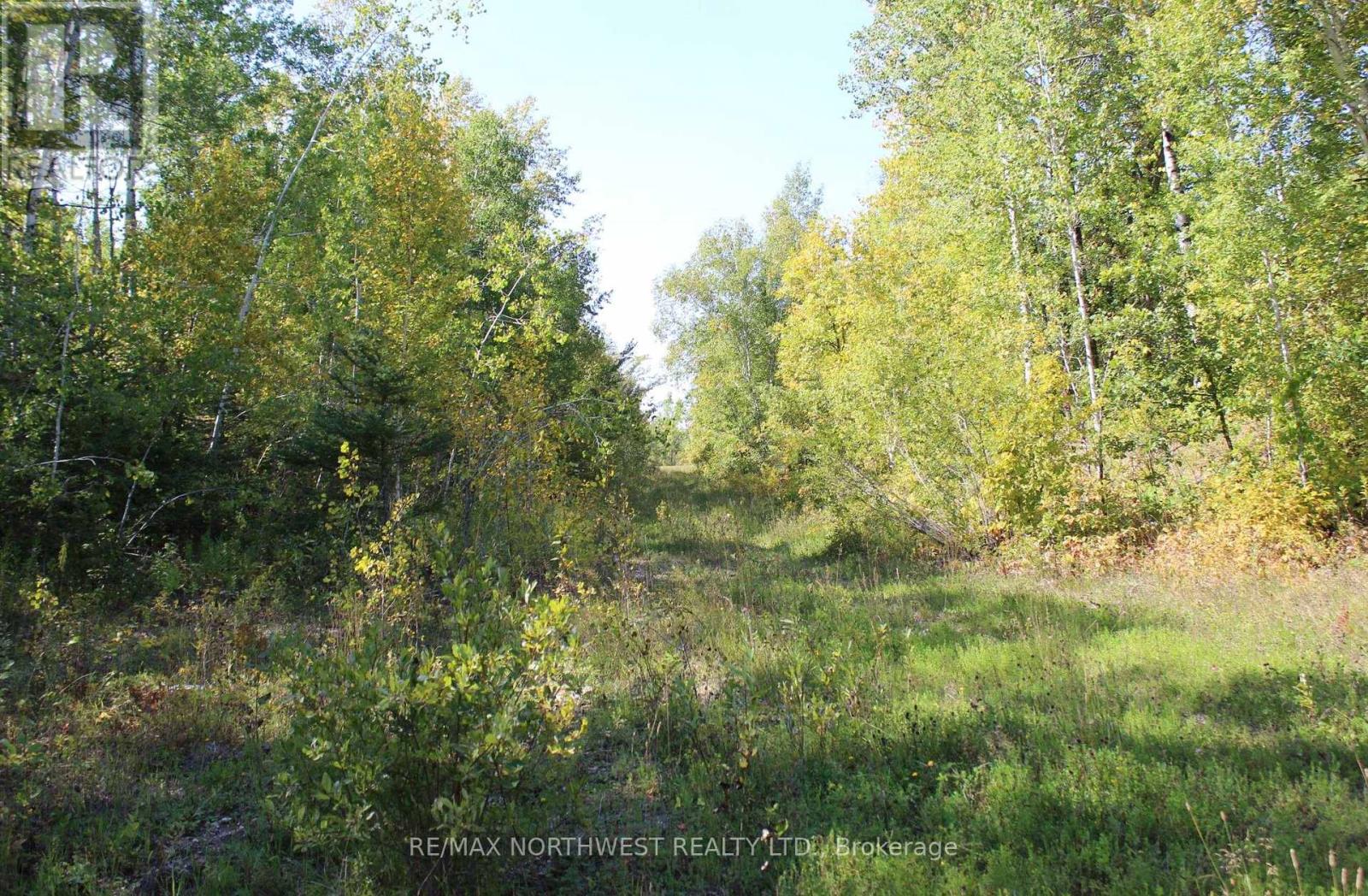 Pcl 46-3 Government Rd, Dawson, Ontario  P0W 1L0 - Photo 24 - X13245104