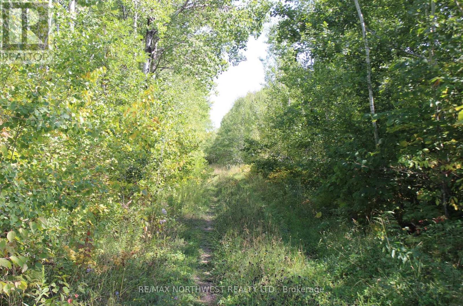 Pcl 46-3 Government Rd, Dawson, Ontario  P0W 1L0 - Photo 18 - X13245104