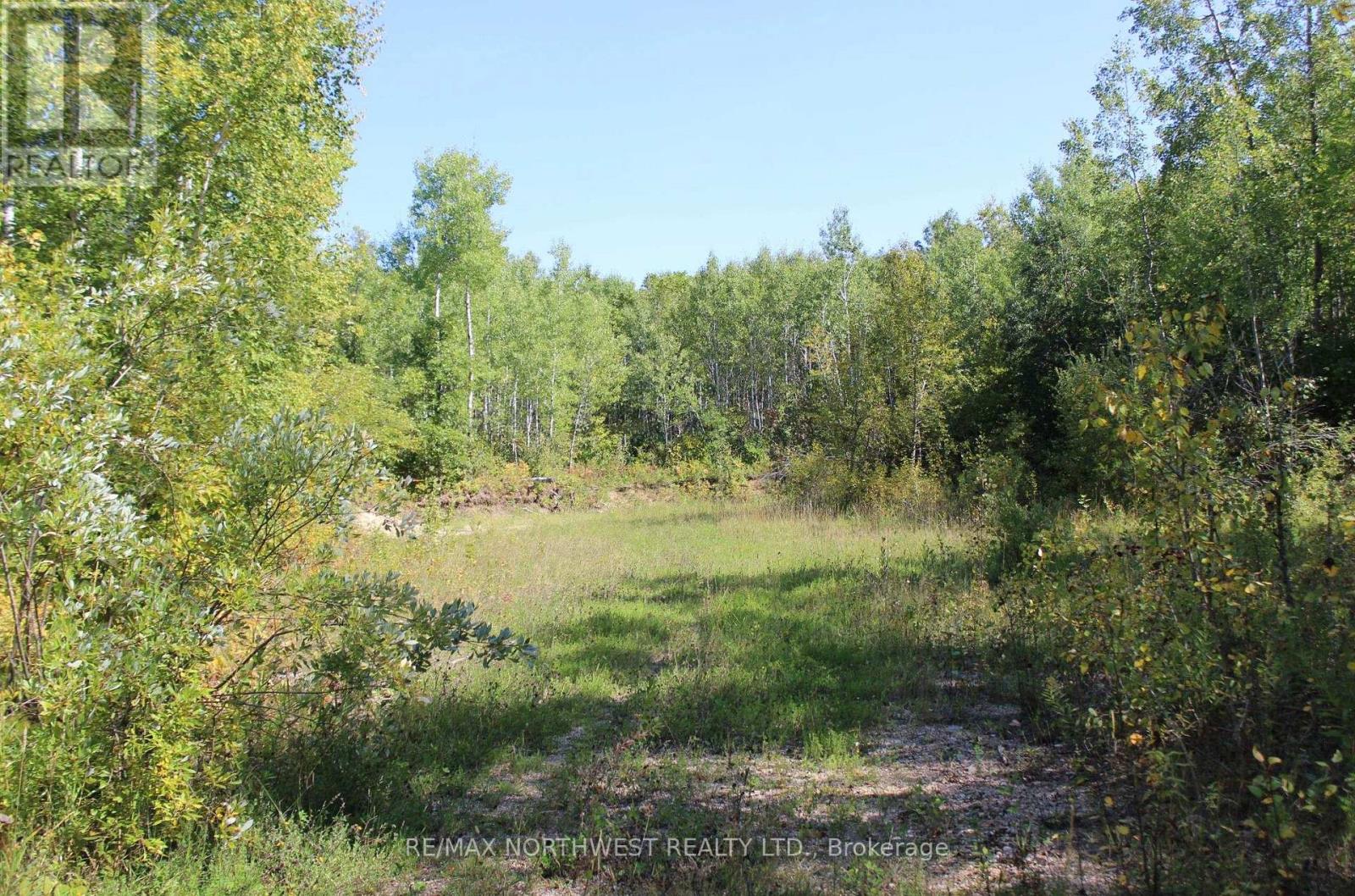Pcl 46-3 Government Rd, Dawson, Ontario  P0W 1L0 - Photo 25 - X13245104