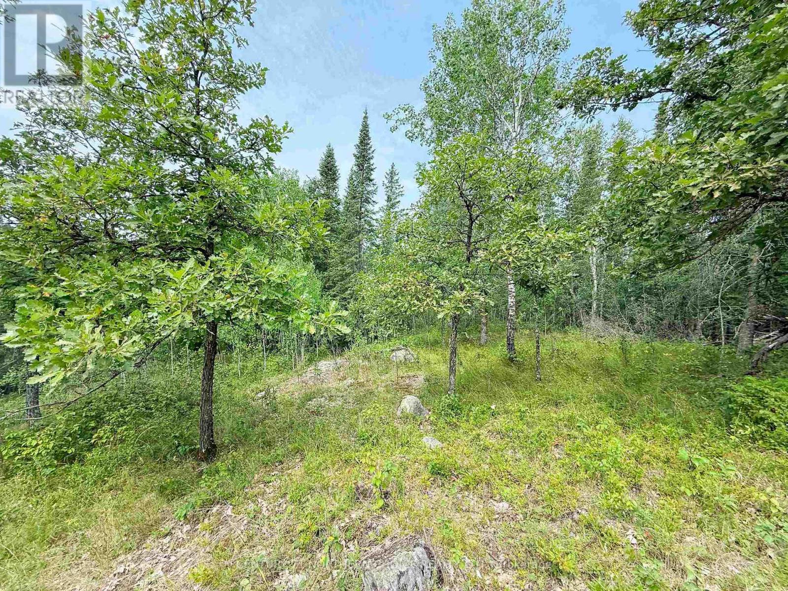 496 Coney Island, Kenora, Ontario  P9N 4T1 - Photo 14 - X13245270