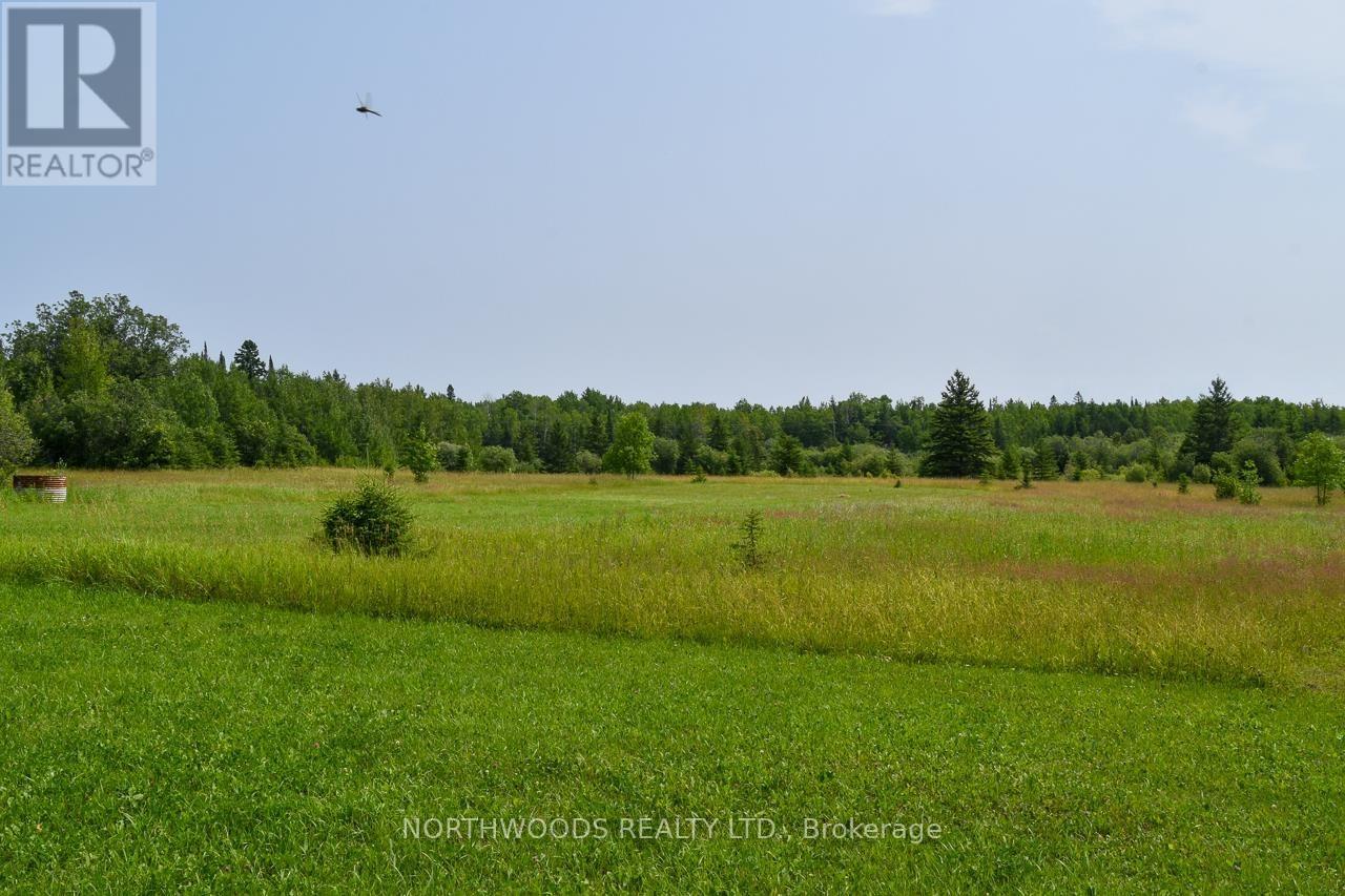 61 Swen's Road, Lake Of The Woods, Ontario  P0W 1M0 - Photo 28 - X13245274
