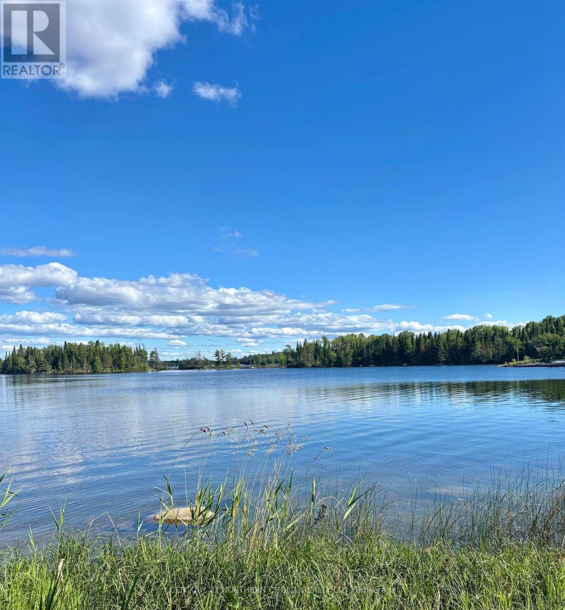 19 Castlerock Island, Kenora Remote Area, Ontario  P0X 1H0 - Photo 6 - X13250272