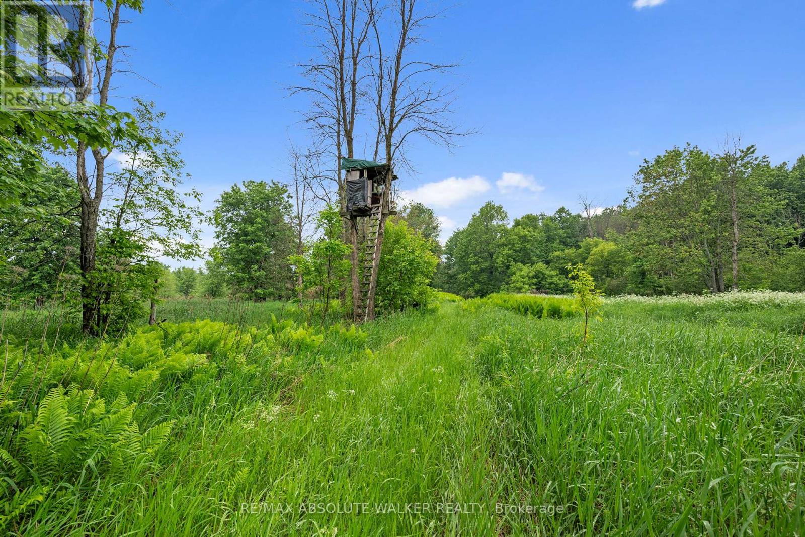 18668 Kenyon Concession 2 Road, North Glengarry, Ontario  K0C 1B0 - Photo 34 - X13419188