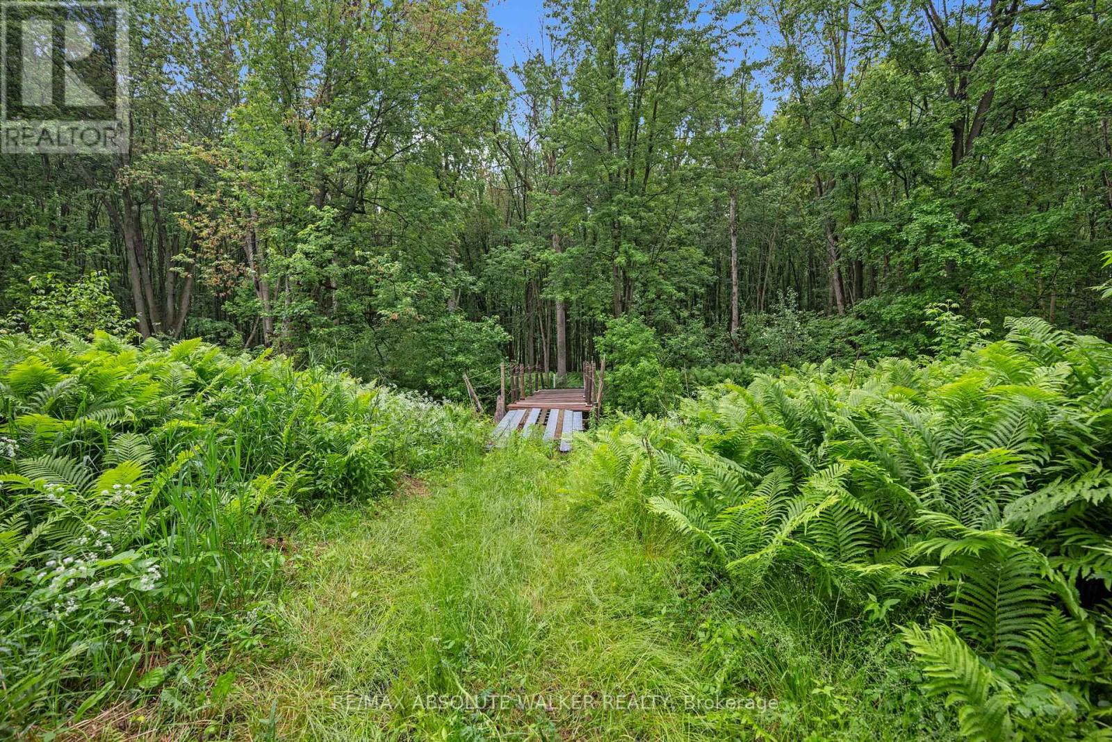 18668 Kenyon Concession 2 Road, North Glengarry, Ontario  K0C 1B0 - Photo 36 - X13419188