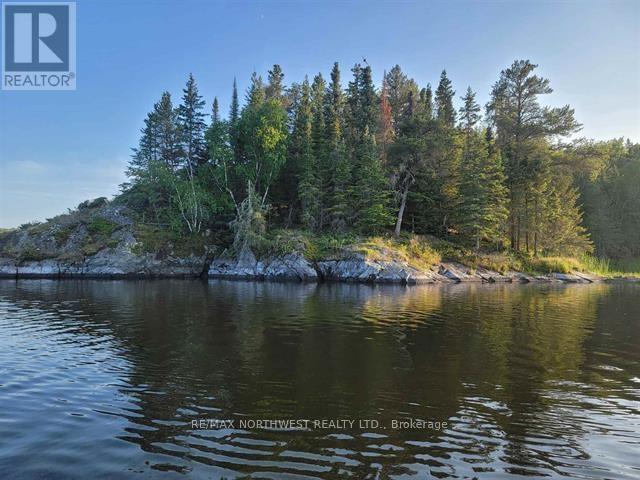 1319 Laurenson Lake, Kenora, Ontario  P9N 4G9 - Photo 3 - X13244364
