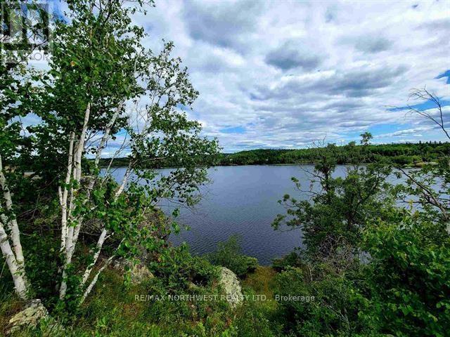 1319 Laurenson Lake, Kenora, Ontario  P9N 4G9 - Photo 5 - X13244364