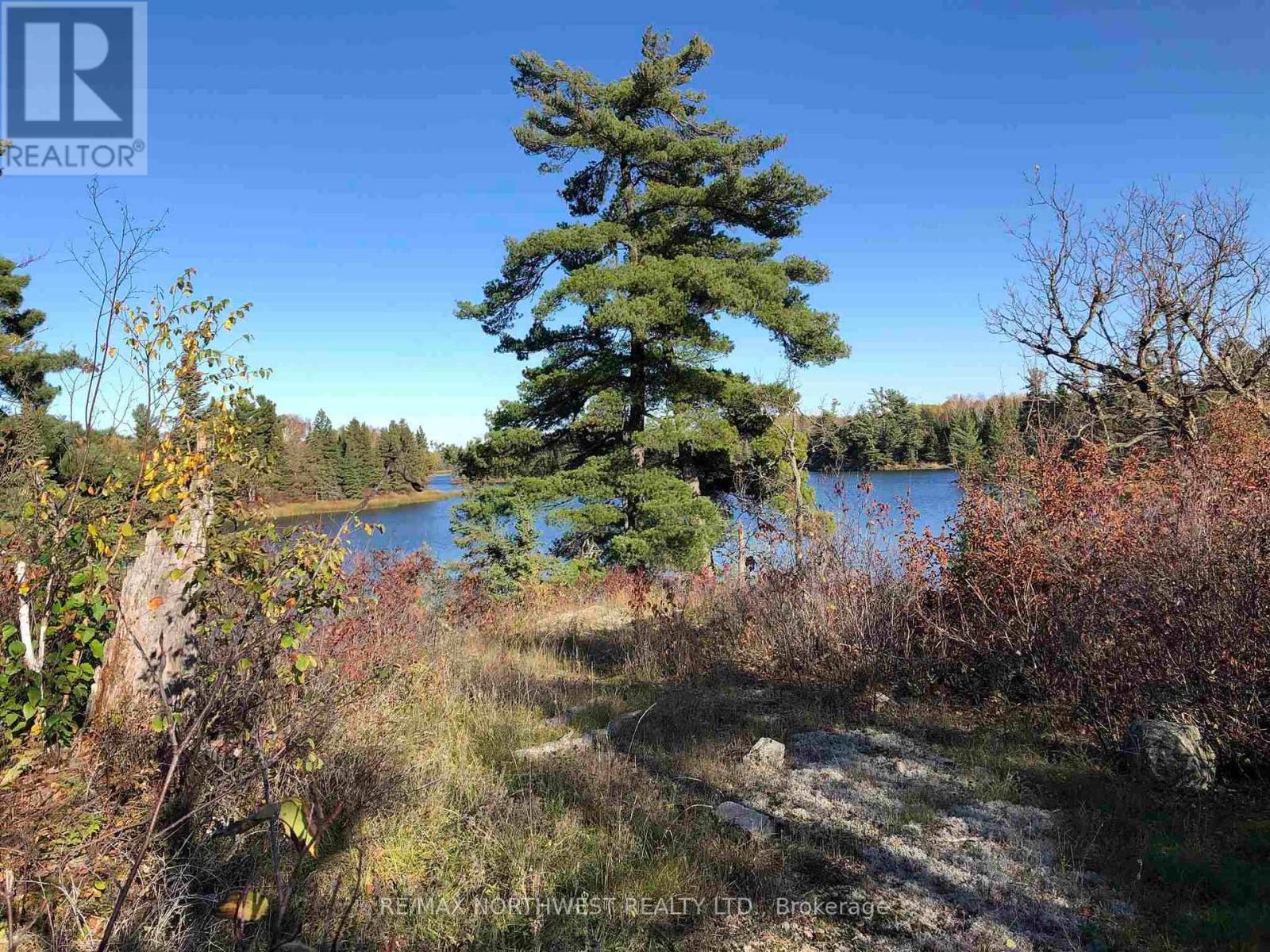3,9 And 10 Dorion Island Lake Of The Woods, Kenora Remote Area, Ontario  P0X 1N0 - Photo 13 - X13245074