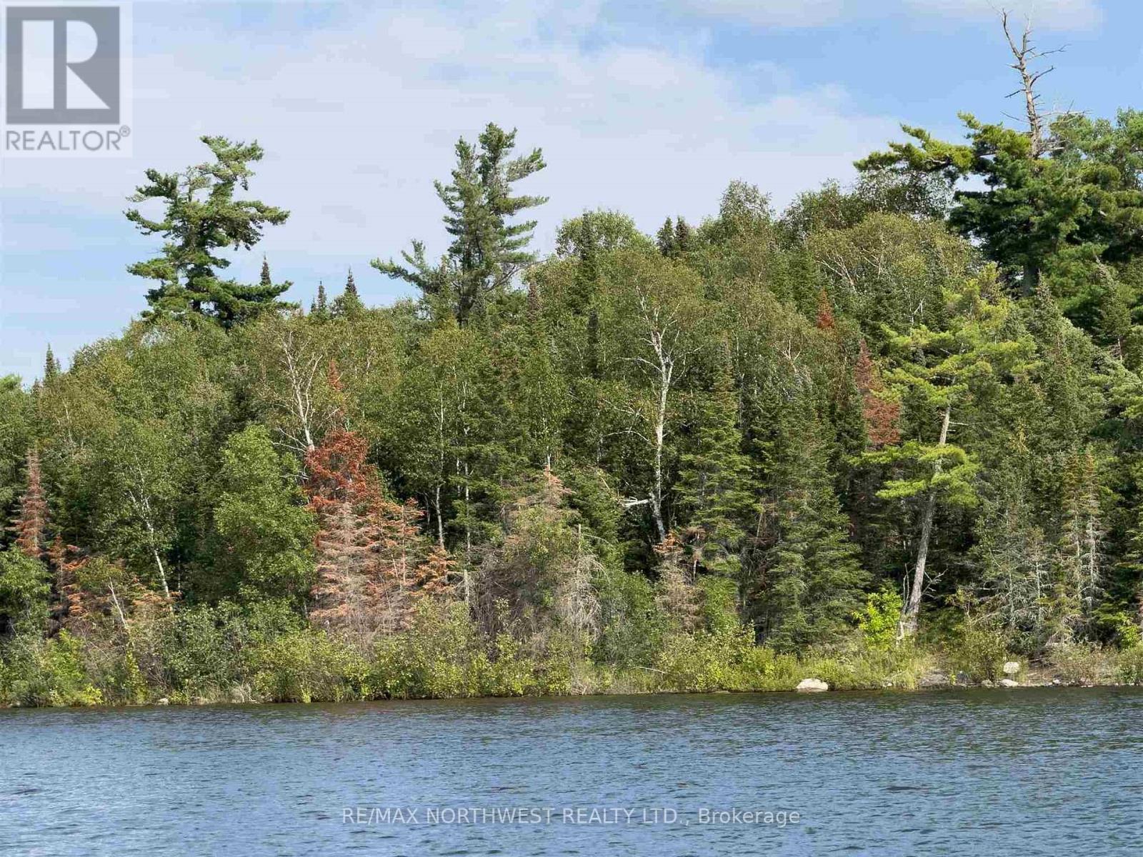 3,9 And 10 Dorion Island Lake Of The Woods, Kenora Remote Area, Ontario  P0X 1N0 - Photo 28 - X13245074