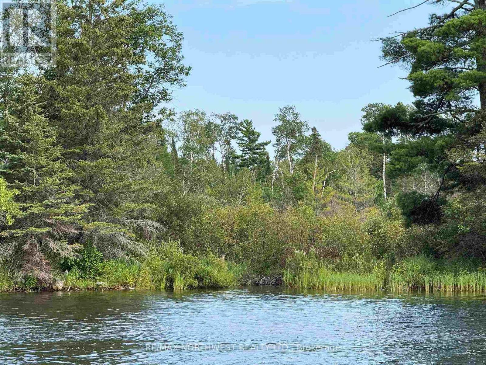 3,9 And 10 Dorion Island Lake Of The Woods, Kenora Remote Area, Ontario  P0X 1N0 - Photo 37 - X13245074