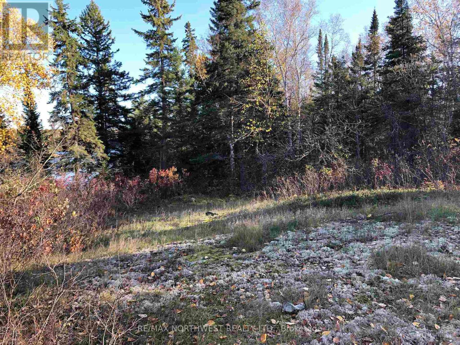 3,9 And 10 Dorion Island Lake Of The Woods, Kenora Remote Area, Ontario  P0X 1N0 - Photo 12 - X13245074