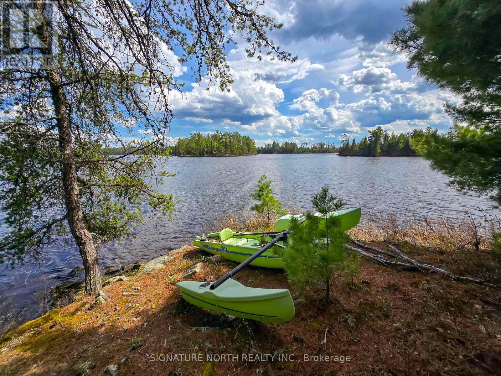 564 Hematite Road, Rainy River Remote Area, Ontario  P0T 1C0 - Photo 48 - X13250570