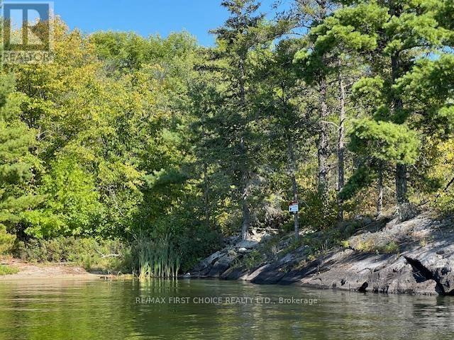 G 734 Rainy Lake, Rainy River Remote Area, Ontario  P9A 3M3 - Photo 13 - X13250758