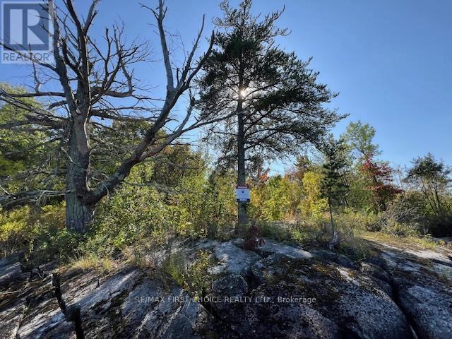 G 734 Rainy Lake, Rainy River Remote Area, Ontario  P9A 3M3 - Photo 30 - X13250758