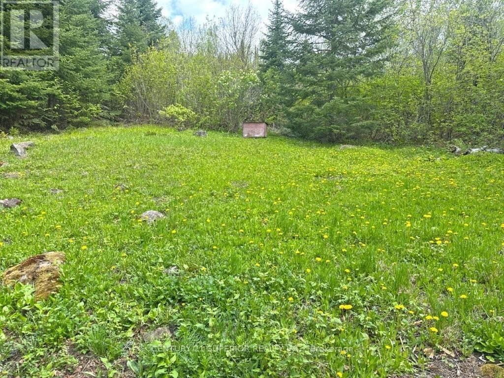 Lt 17 Elizabeth Lake, Thunder Bay Remote Area, Ontario  P0T 2J0 - Photo 34 - X13250992