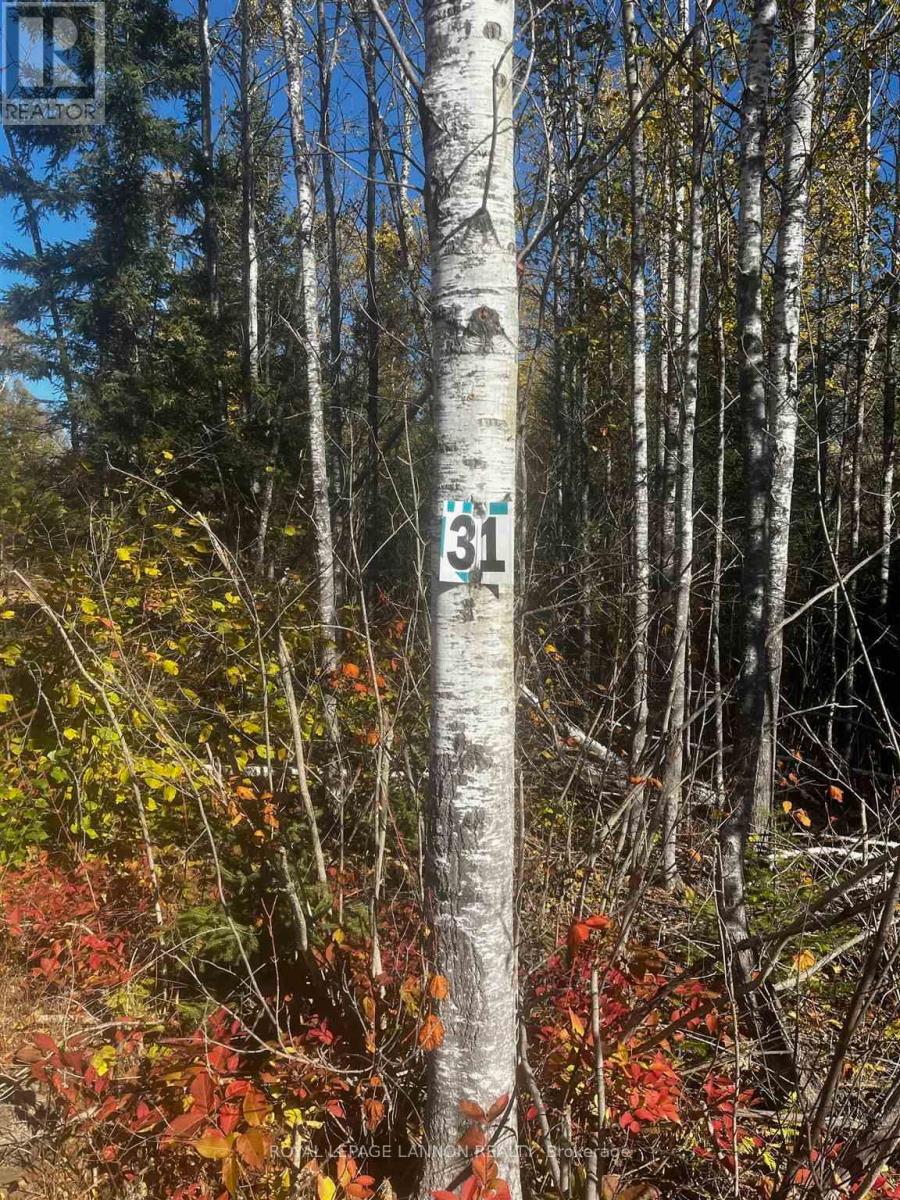 Lot 31 Grann Drive, Shuniah, Ontario  P0T 2M0 - Photo 5 - X13251040