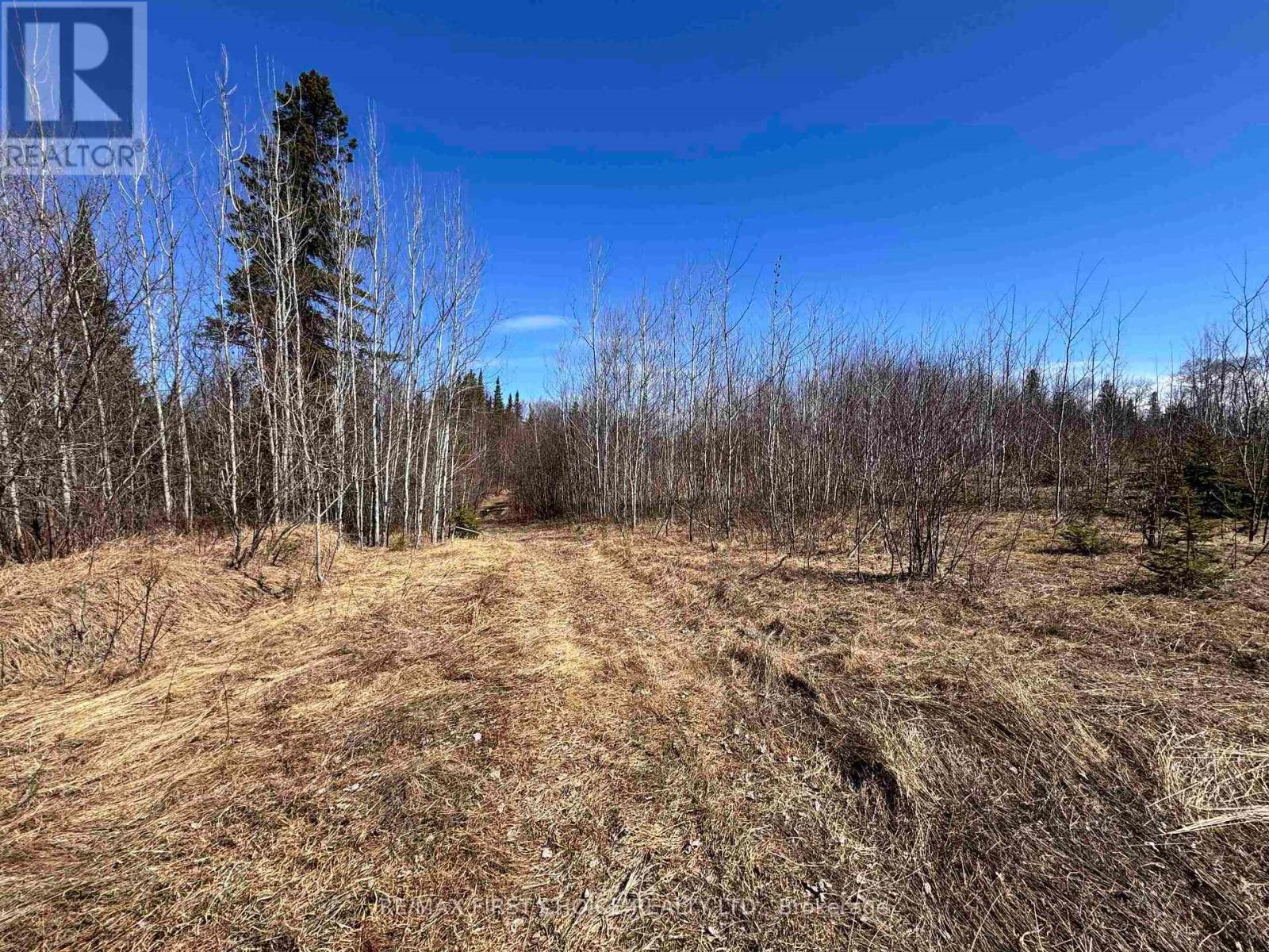66 Hwy 105, Red Lake, Ontario  P0V 2M0 - Photo 7 - X13251116