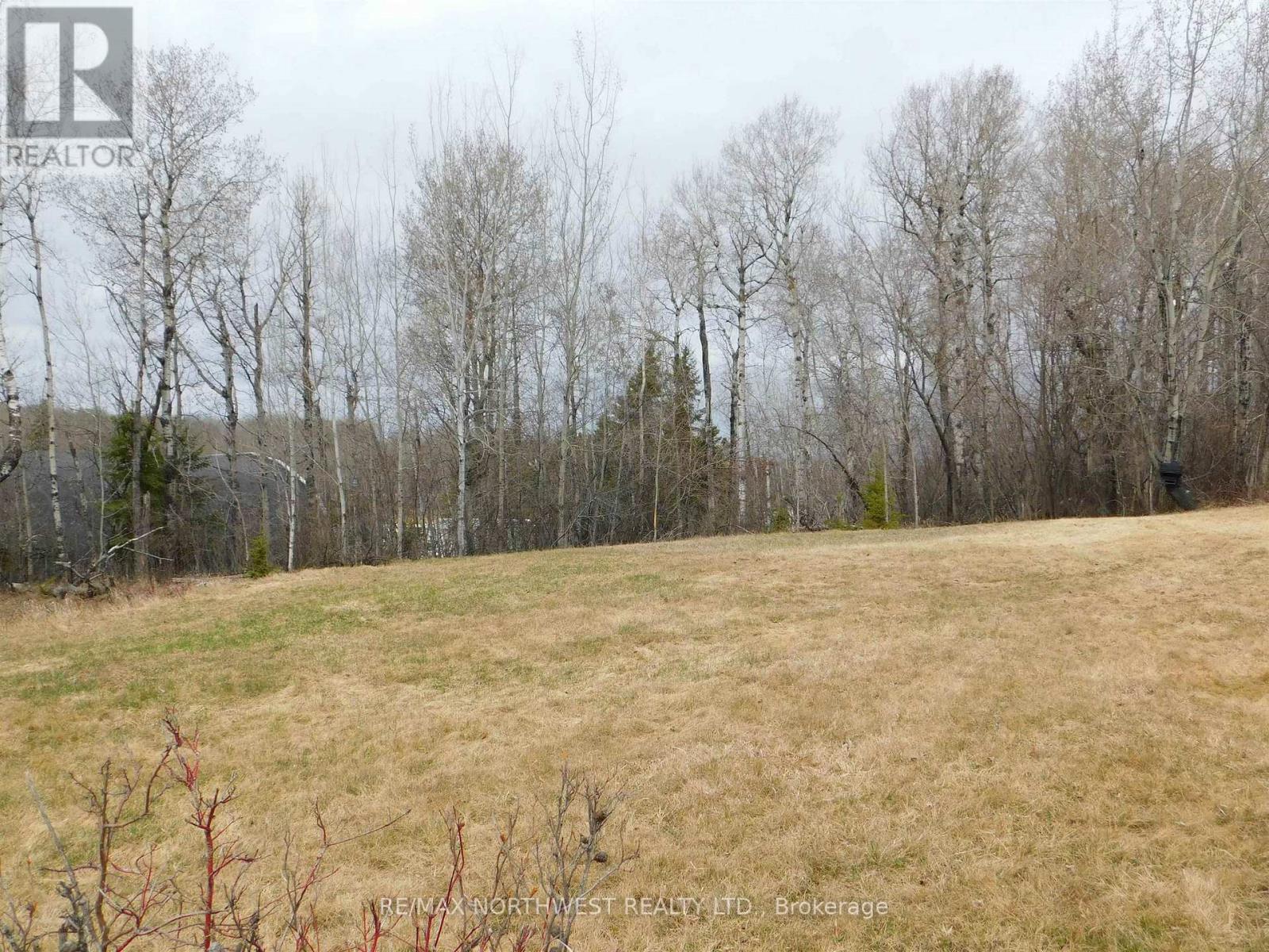 113 Third Street, Dryden, Ontario  P8N 2V8 - Photo 2 - X13251160