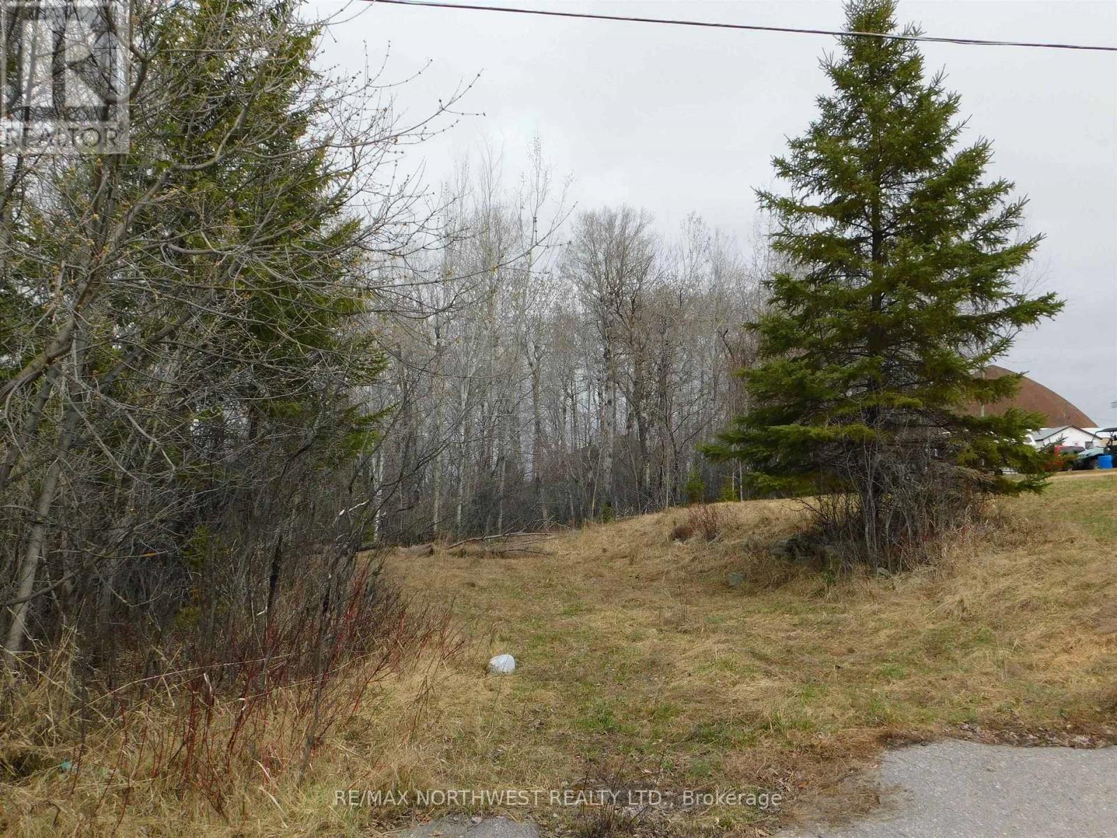 113 Third Street, Dryden, Ontario  P8N 2V8 - Photo 5 - X13251160