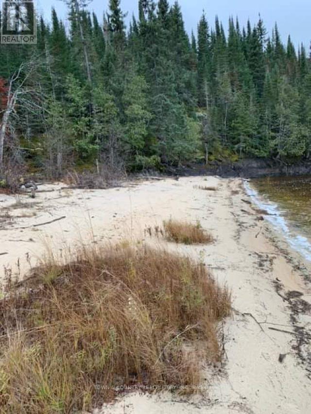 Parcel 26057, Rainy River Remote Area, Ontario  P0W 1H0 - Photo 6 - X13251270