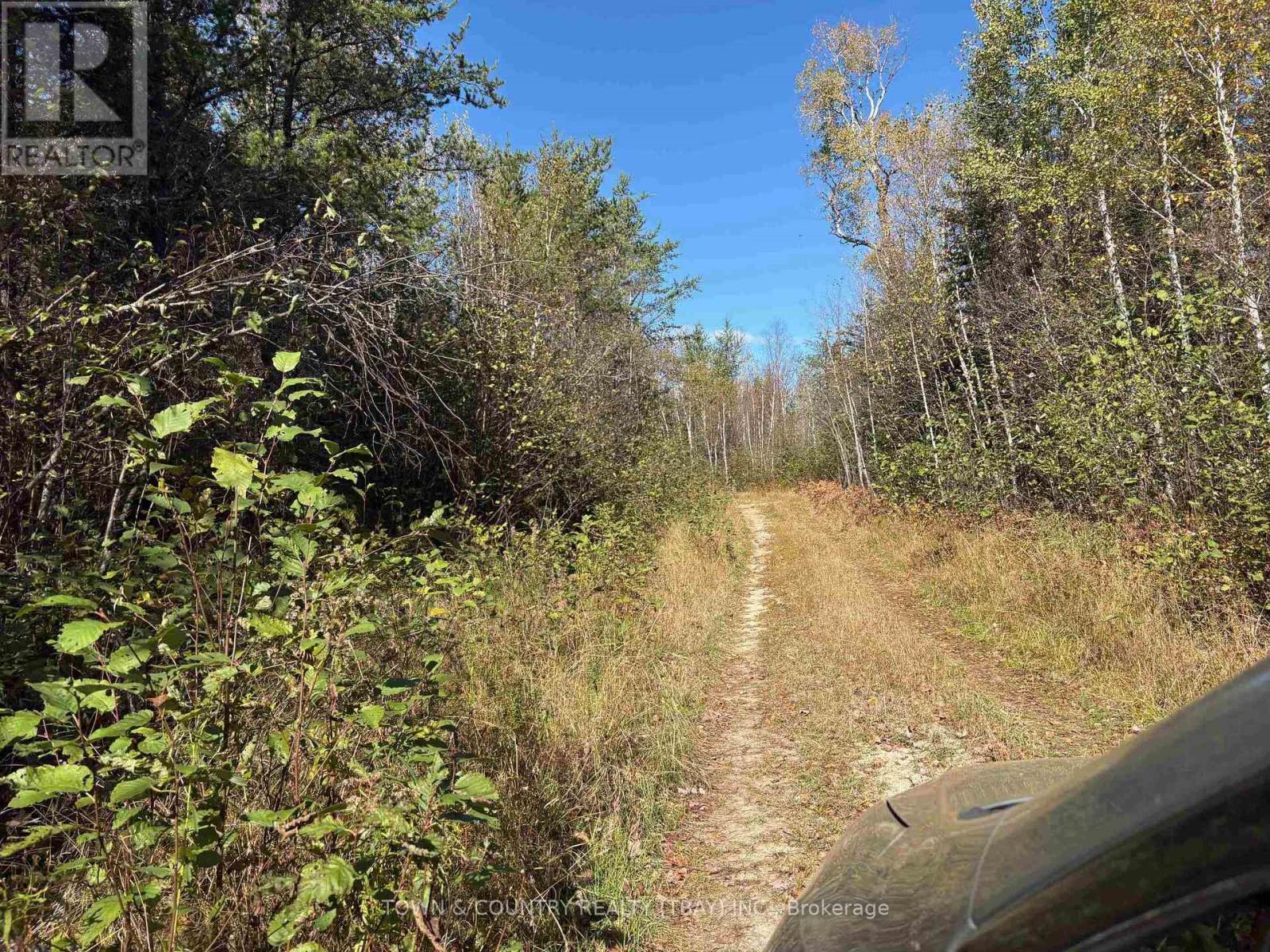 Parcel 26057, Rainy River Remote Area, Ontario  P0W 1H0 - Photo 15 - X13251270