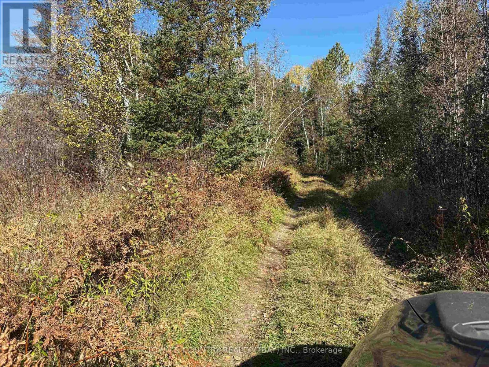 Parcel 26057, Rainy River Remote Area, Ontario  P0W 1H0 - Photo 14 - X13251270