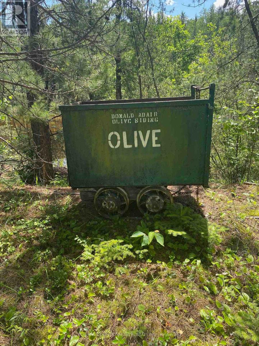 Parcel 26057, Rainy River Remote Area, Ontario  P0W 1H0 - Photo 12 - X13251270