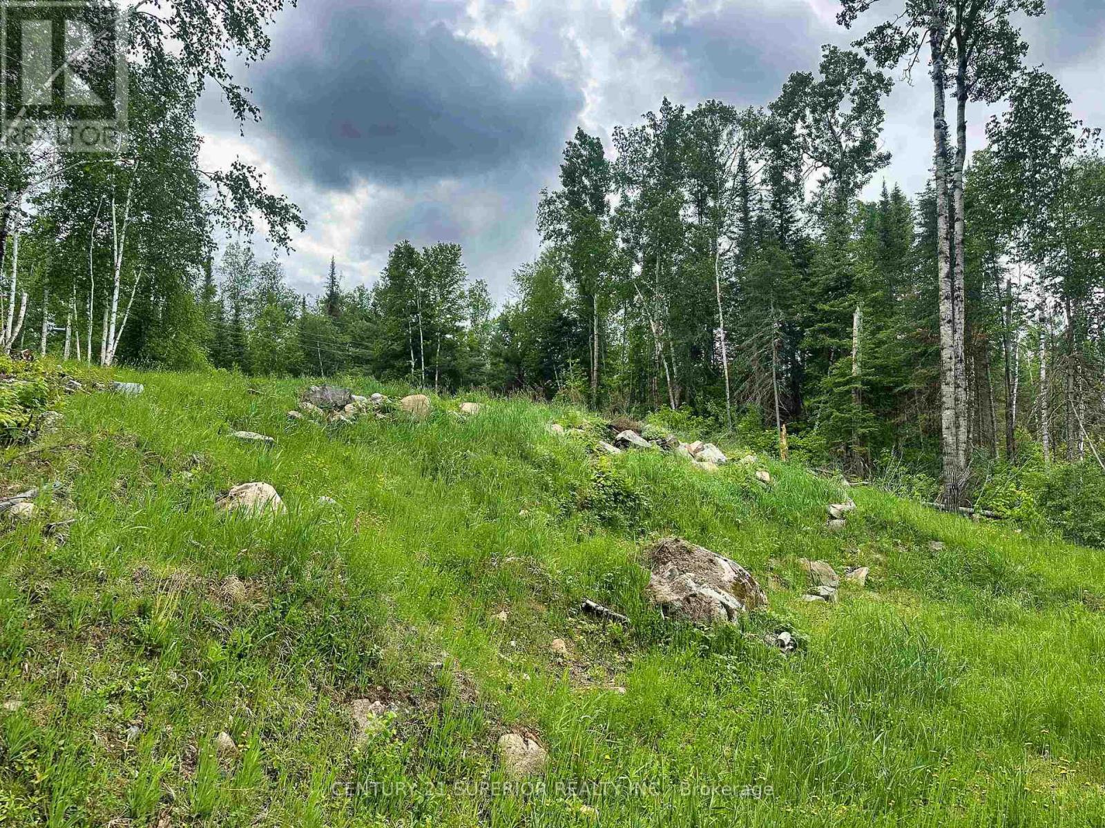 6 Bergman Road, Rainy River Remote Area, Ontario  P0T 1C0 - Photo 27 - X13251268