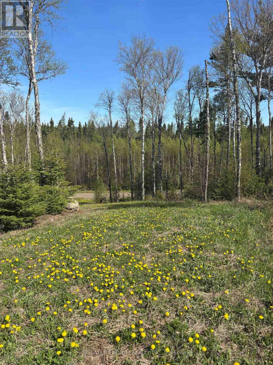 100 Lloyd Johnson Drive, Neebing, Ontario  P7L 0A1 - Photo 8 - X13251366