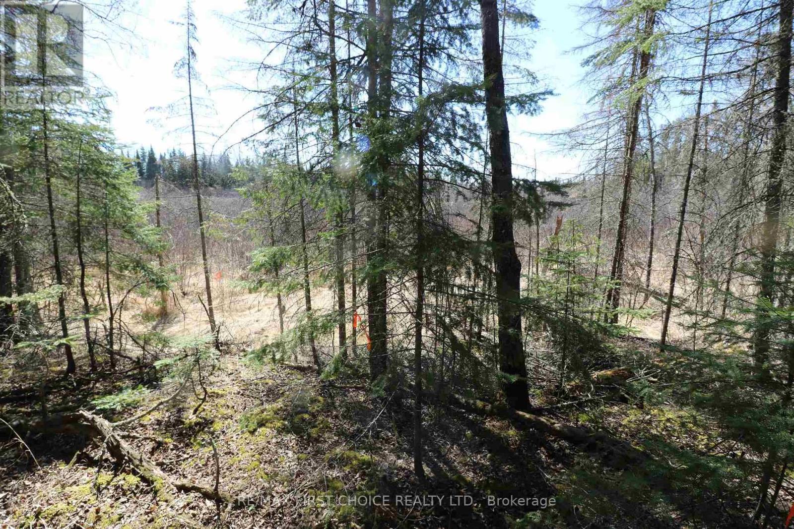 Lot 151 Plan M222, Kenora Remote Area, Ontario  P0X 1J0 - Photo 14 - X13251820