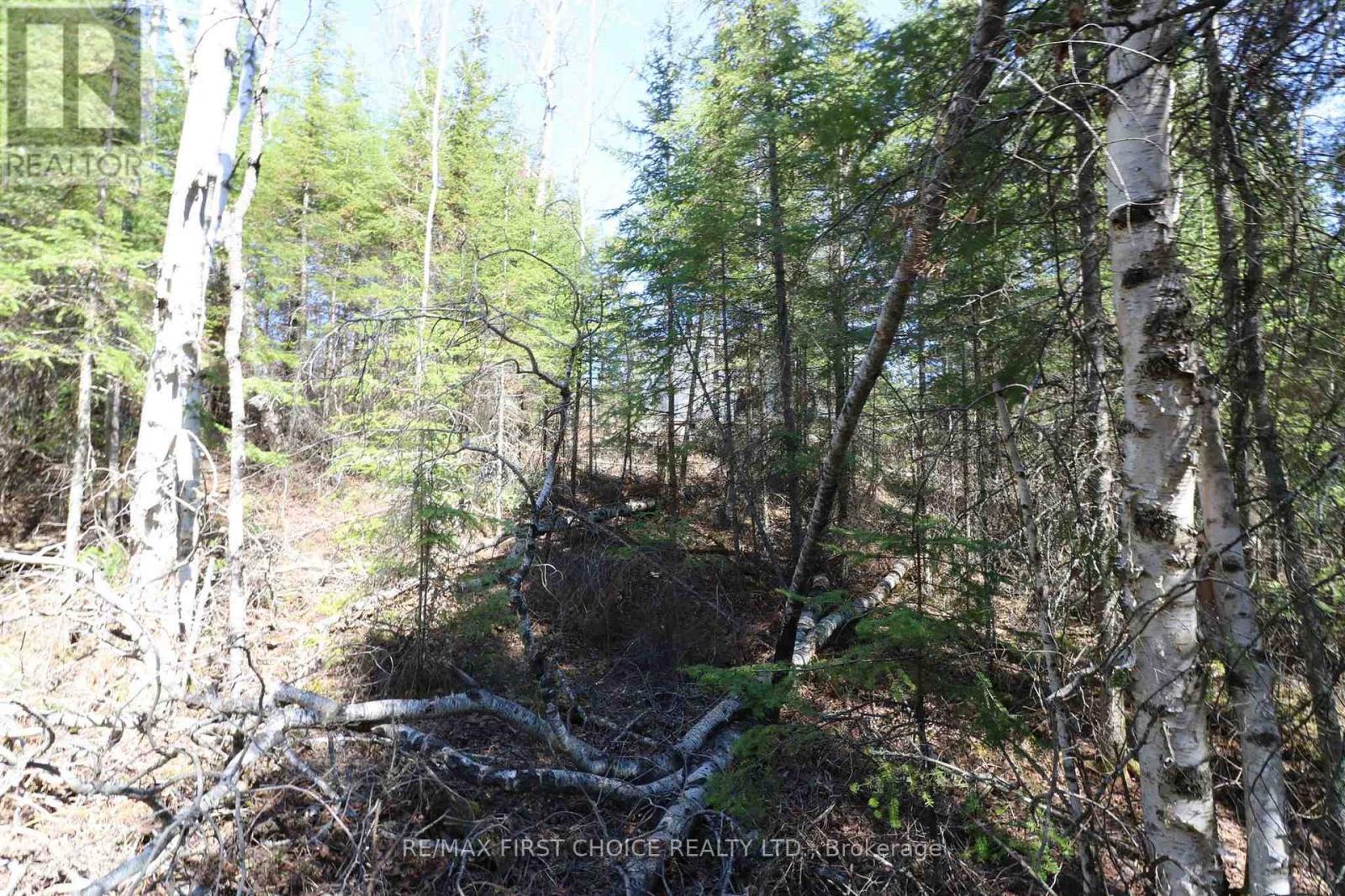Lot 151 Plan M222, Kenora Remote Area, Ontario  P0X 1J0 - Photo 21 - X13251820