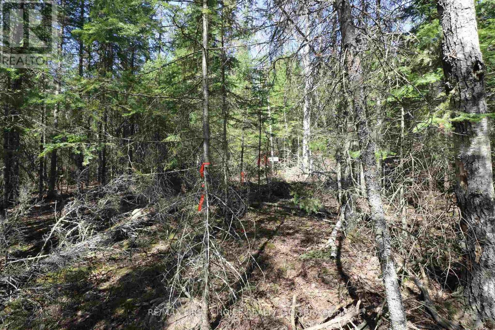 Lot 151 Plan M222, Kenora Remote Area, Ontario  P0X 1J0 - Photo 19 - X13251820
