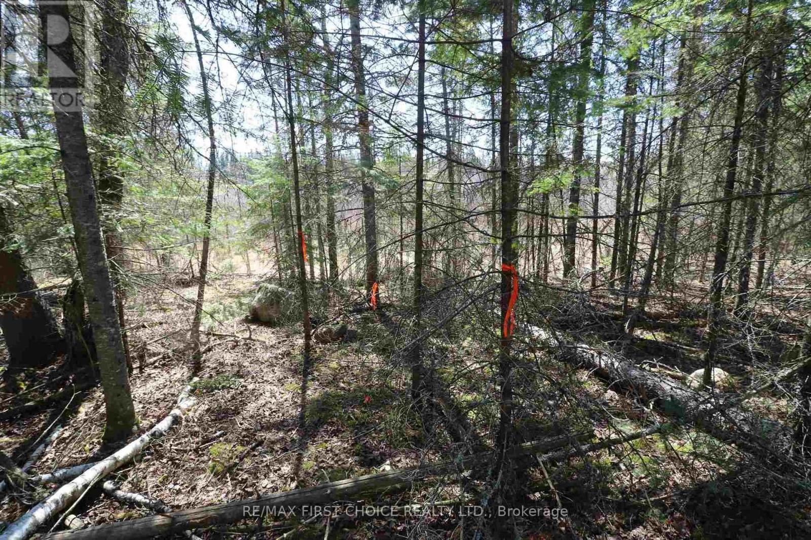 Lot 151 Plan M222, Kenora Remote Area, Ontario  P0X 1J0 - Photo 11 - X13251820
