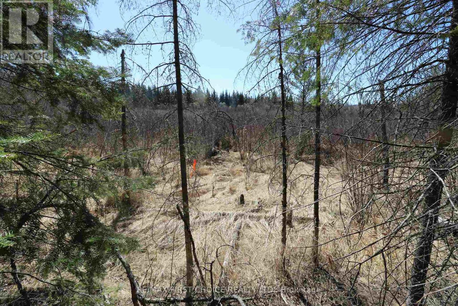 Lot 151 Plan M222, Kenora Remote Area, Ontario  P0X 1J0 - Photo 15 - X13251820